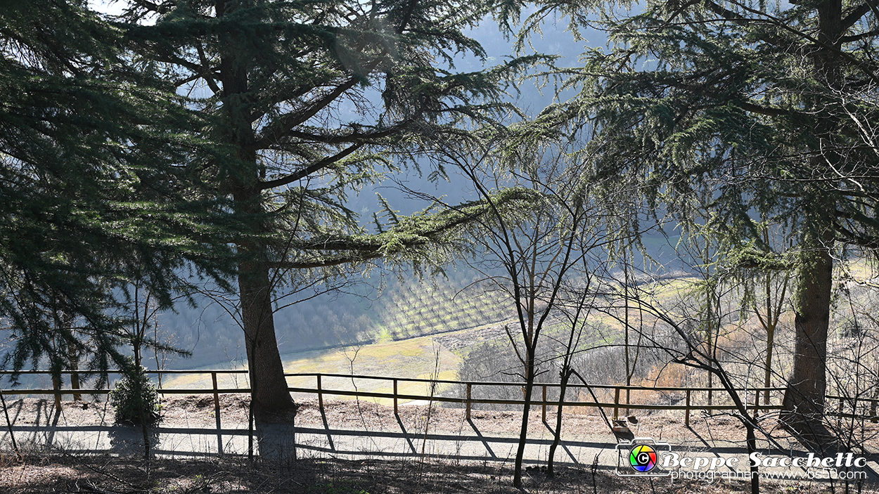 VBS_0650 - Madonna dei Boschi - Vezza d'Alba.jpg